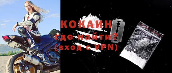 индика Михайловск