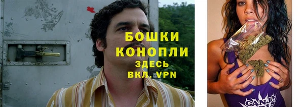 прущий лед Белокуриха