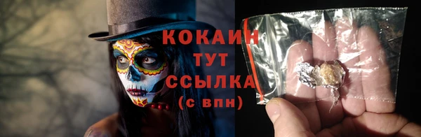 молекула духа Белоозёрский