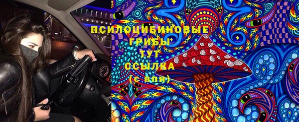 крисы Беломорск
