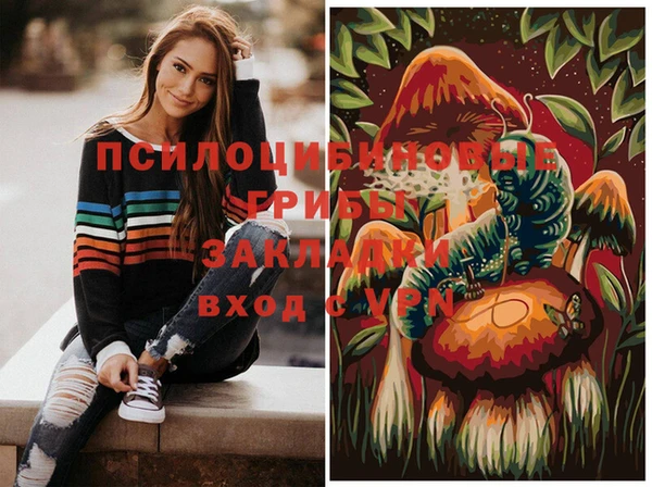 крисы Беломорск