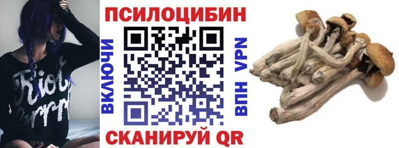 blacksprut tor  Нерехта  Галлюциногенные грибы Magic Shrooms 
